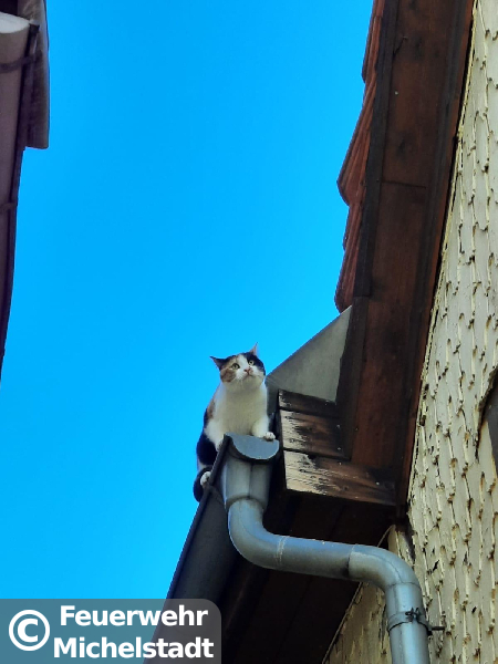 Techn. Hilfeleistung Techn. Hilfeleistung